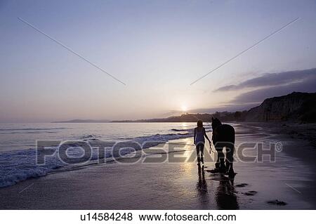 Stock Photo -  beach horse beauty pretty owner cowgirl strolls. Fotosearch