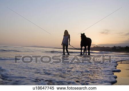 Stock Photography -  beach horse beauty pretty owner cowgirl strolls. Fotosearch