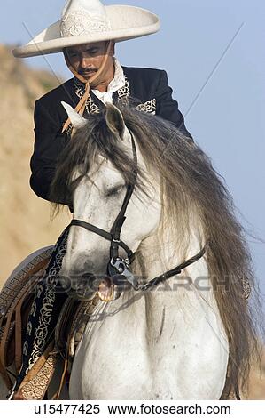 Stock Photography -  beach horse sun beauty charro in santa barbara. Fotosearch