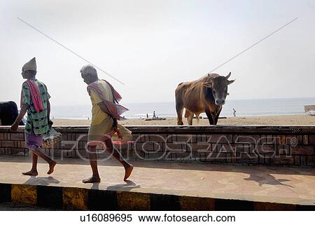 beach man photos various locations in india asia View Large Photo Image Stock Photography -  beach man photos various locations in india asia. Fotosearch