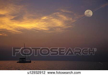beach sun ocean diving reef colour photo color View Large Photo Image Stock Image - beach sun ocean diving reef colour photo color. Fotosearch