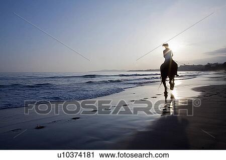 beach water horse sun beauty horses in santa usa View Large Photo Image Stock Image - beach water horse sun beauty horses in santa usa. Fotosearch