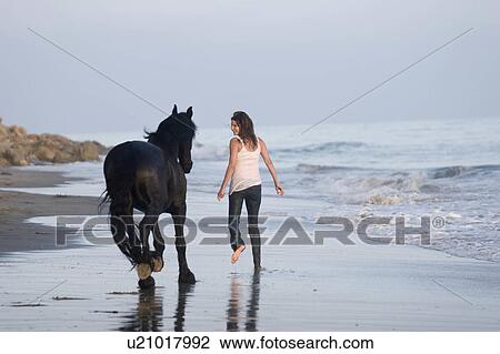 beach water horse sun beauty horses in santa usa View Large Photo Image Stock Image - beach water horse sun beauty horses in santa usa. Fotosearch