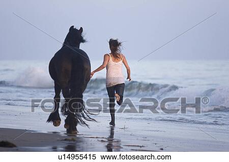 Stock Photography -  beach water horse sun beauty horses in santa usa. Fotosearch