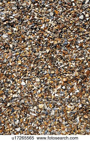 beach water summer nature texture sun details View Large Photo Image Stock Photography - beach water summer nature texture sun details. Fotosearch