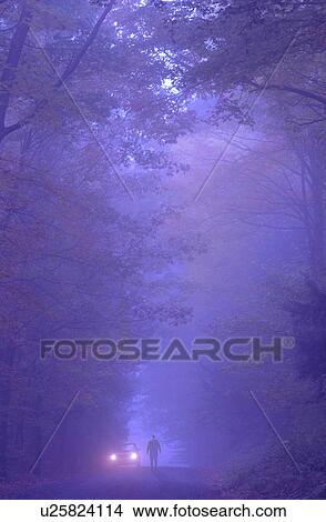car tree pulled over foggy evening in hanover View Large Photo Image Picture - car tree pulled over foggy evening in hanover. Fotosearch