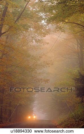 Stock Image -  car tree pulled over foggy evening in hanover. Fotosearch