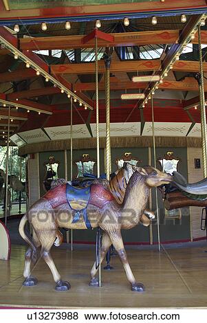 carousel denver zoo colorado usa amusement ride View Large Photo Image Stock Photo - carousel denver zoo colorado usa amusement ride. Fotosearch