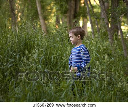 child beauty young boy walks through high weeds View Large Photo Image Stock Photo - child beauty young boy walks through high weeds. Fotosearch