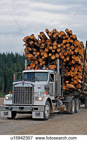 close up cover shot loaded log truck traveling View Large Photo Image Stock Photo - close up cover shot loaded log truck traveling. Fotosearch