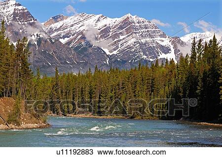 close up horozontal landscape section rocky fed View Large Photo Image Stock Image - close up horozontal landscape section rocky fed. Fotosearch