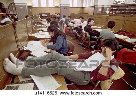cornell university students study studying View Large Photo Image Stock Photography - cornell university students study studying. Fotosearch
