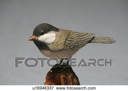 design art chickadee bird carving ability View Large Photo Image Stock Photo - design art chickadee bird carving ability. Fotosearch