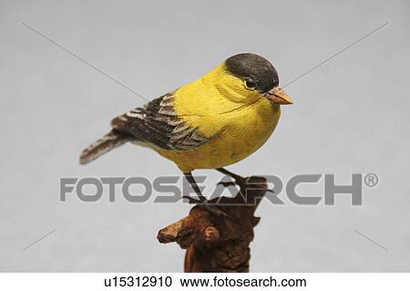 design art goldfinch bird carving gordon ability View Large Photo Image Stock Image - design art goldfinch bird carving gordon ability. Fotosearch