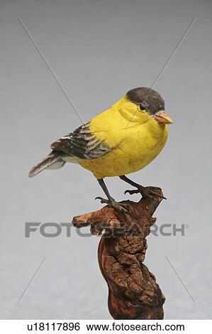 Stock Photograph -  design art goldfinch bird carving accessory. Fotosearch