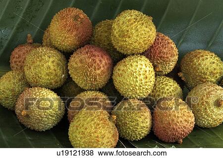 design fruit tropical exotic lychee litchi lichu View Large Photo Image Stock Photo - design fruit tropical exotic lychee litchi lichu. Fotosearch