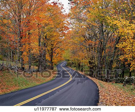Stock Photo -  east orange vt autumn trees road vermont august. Fotosearch