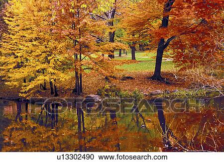 fall foliage in central park new york ny View Large Photo Image Stock Image - fall foliage in central park new york ny . Fotosearch