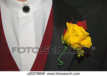 Stock Photograph -  flower wedding rose close up detail shot yellow. Fotosearch