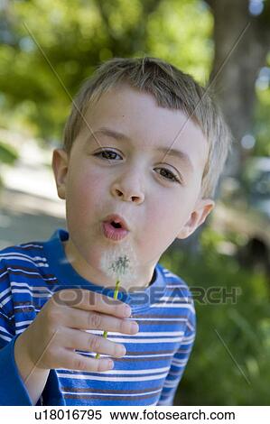 flowers child beauty young boy blows dandelion View Large Photo Image Stock Photography - flowers child beauty young boy blows dandelion. Fotosearch