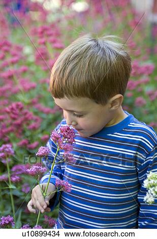 Picture -  flowers child spring beauty young boy in field. Fotosearch