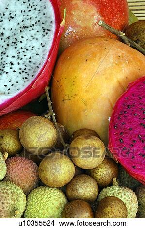 fruit tropical exotic fresh longan branch lungan View Large Photo Image Picture - fruit tropical exotic fresh longan branch lungan. Fotosearch