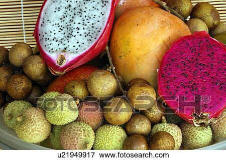 fruit tropical exotic fresh longan branch lungan View Large Photo Image Stock Photo - fruit tropical exotic fresh longan branch lungan. Fotosearch
