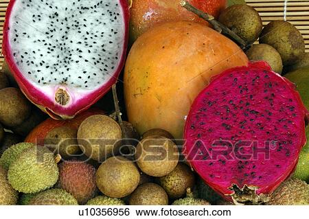 fruit tropical exotic fresh longan branch lungan View Large Photo Image Stock Photograph - fruit tropical exotic fresh longan branch lungan. Fotosearch
