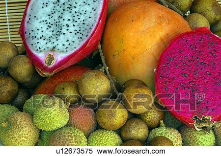 fruit tropical exotic fresh longan branch lungan View Large Photo Image Stock Photography - fruit tropical exotic fresh longan branch lungan. Fotosearch
