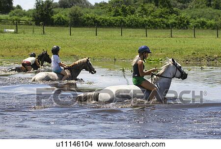 girl horse children camp in florida for kids View Large Photo Image Picture - girl horse children camp in florida for kids. Fotosearch