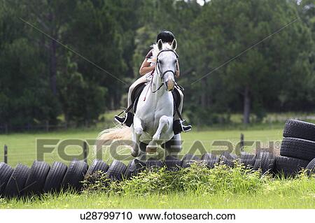 Stock Image -  girl horse children camp in florida for kids. Fotosearch