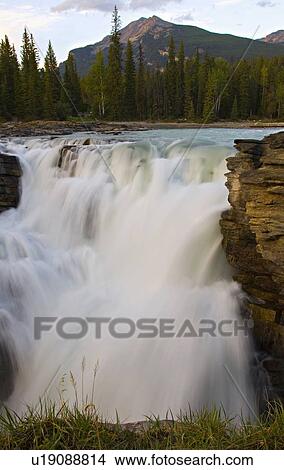 Picture -  glacial fed athabasca river rushing over falls. Fotosearch