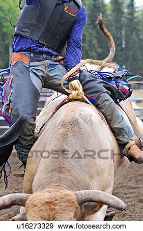 hand close up cowboys grip bull rope rides rodeo View Large Photo Image Stock Photo - hand close up cowboys grip bull rope rides rodeo. Fotosearch
