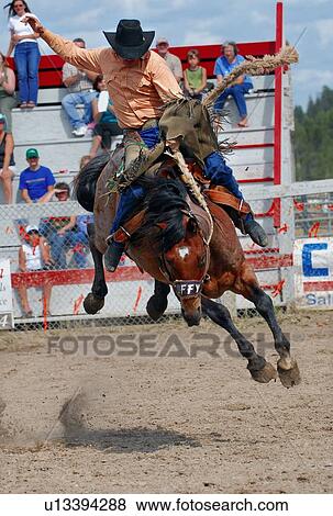 horse saddle bronc rider bucking western rodeo View Large Photo Image Stock Photo - horse saddle bronc rider bucking western rodeo. Fotosearch
