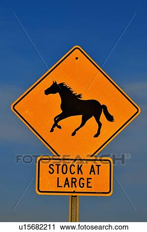 horse vertical highway sign warning drivers road View Large Photo Image Stock Image - horse vertical highway sign warning drivers road. Fotosearch