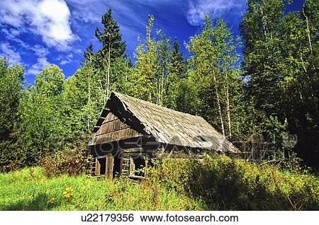 Stock Photograph -  house home old pioneer trappers cabin overgrown. Fotosearch