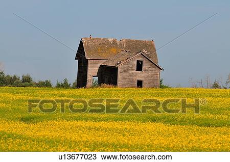 Stock Image -  house summer home old abandoned farm sits end. Fotosearch