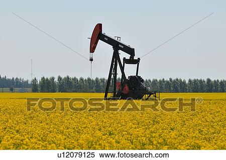 Stock Photography -  image industrial oil pump jack pumping in farm. Fotosearch
