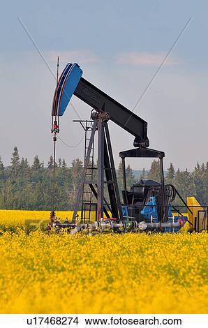 Picture -  image industrial pump jack pumping crude oil . Fotosearch