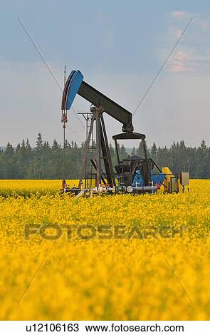 Stock Image -  image industrial pump jack pumping crude oil . Fotosearch