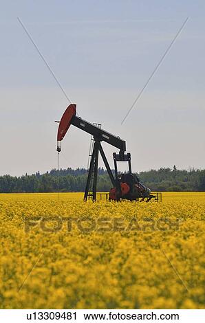 image industrial pump jack pumping crude oil View Large Photo Image Stock Image - image industrial pump jack pumping crude oil . Fotosearch