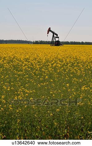 image industrial pump jack pumping crude oil View Large Photo Image Stock Image - image industrial pump jack pumping crude oil . Fotosearch