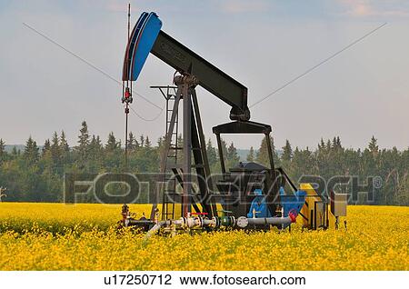 image industrial pump jack pumping crude oil View Large Photo Image Stock Image - image industrial pump jack pumping crude oil . Fotosearch