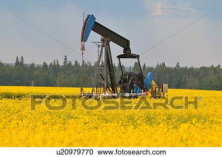Stock Image -  image industrial pump jack pumping crude oil . Fotosearch