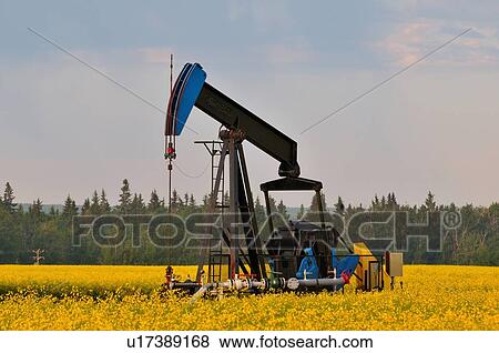 image industrial pump jack pumping crude oil View Large Photo Image Stock Photo - image industrial pump jack pumping crude oil . Fotosearch