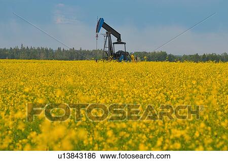 image industrial pump jack pumping crude oil View Large Photo Image Stock Photograph - image industrial pump jack pumping crude oil . Fotosearch