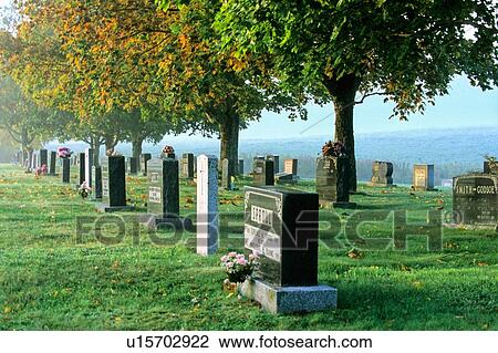 leaf early morning mist beautiful rural cemetery View Large Photo Image Stock Image - leaf early morning mist beautiful rural cemetery. Fotosearch