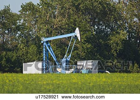 lone pump jack in field farm crops pumping crude View Large Photo Image Stock Image - lone pump jack in field farm crops pumping crude. Fotosearch