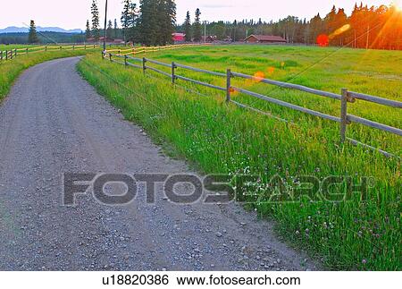morning sunlight shining lush meadowto light up View Large Photo Image Stock Photograph - morning sunlight shining lush meadowto light up. Fotosearch