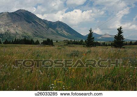nature scenic view heavy grassland rocky park View Large Photo Image Stock Photography - nature scenic view heavy grassland rocky park . Fotosearch